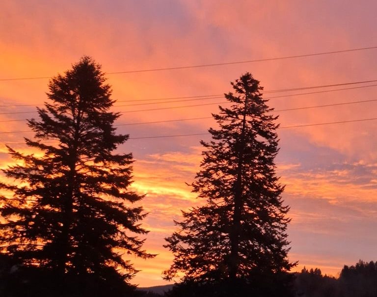 Professional Massage and Manual Therapy