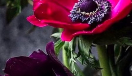 Full Body Swedish Massage In Petts Wood Orpington