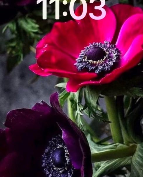 Full Body Swedish Massage In Petts Wood Orpington