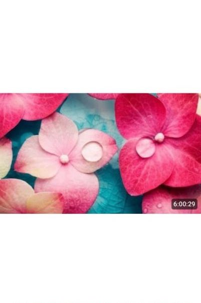 🔥NEW 🔥Oriental massage in city centre