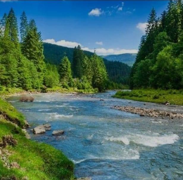 Professional trans Masseuse in London