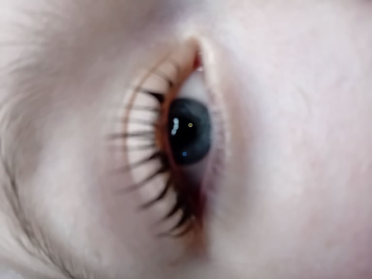 Mobile beauty therapist, eyelash and eyebrow treatments at home