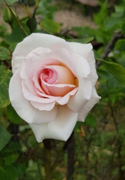 New massage in Peterborough