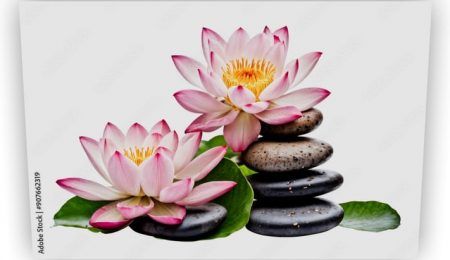 Hot oil massage therapy