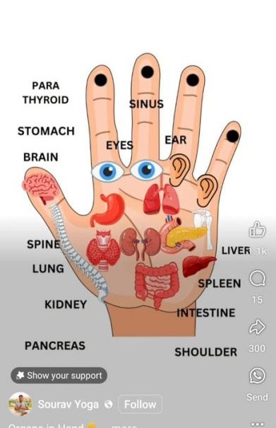WAXING in Finchley Central  for HIM and HER with ITEC qualified Therapist